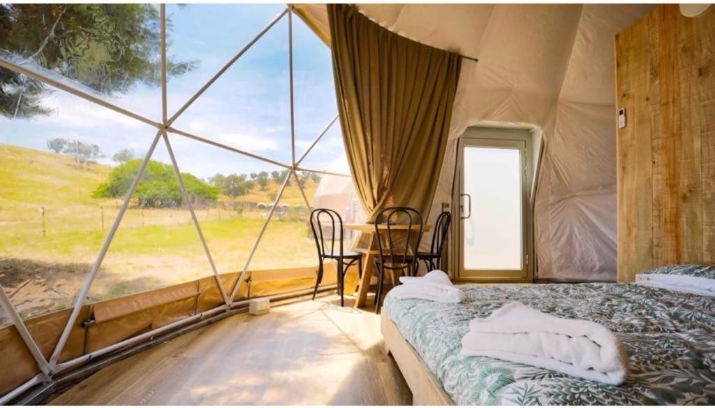 Villa Caravans Park & Glamping Tents In The Vineyard à Turda Extérieur photo